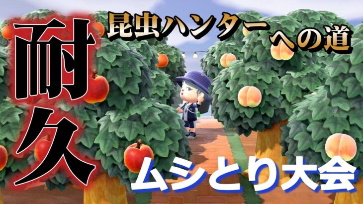 🔴【あつ森】ムシとり大会で昆虫ハンターのマイレージコンプ耐久する！🐞【生配信】