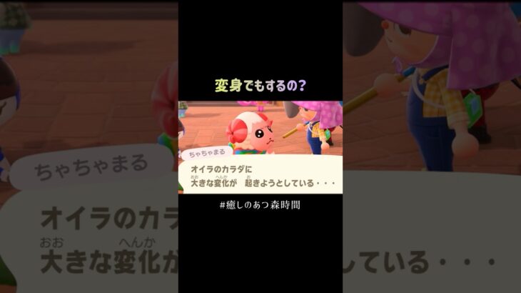 何が起きてるんだァァァァァ‼️