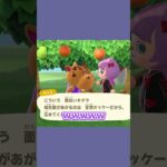魔法少女のバイト #あつ森  #あつまれどうぶつの森  #女性ゲーム実況
