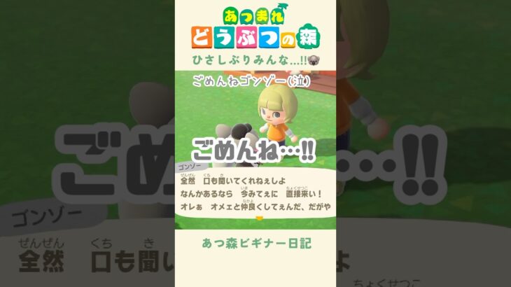 【あつ森】久しぶりみんな…！久しぶりゴンゾー！🐨#あつまれどうぶつの森
