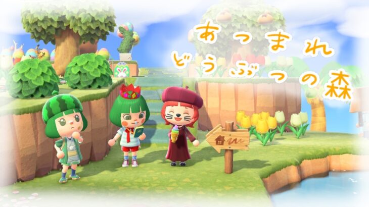 【あつ森】みちぇ子を見張りながら作業する【雑談】