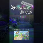 【あつ森】海が見える紫陽花の遊歩道【島クリエイト】