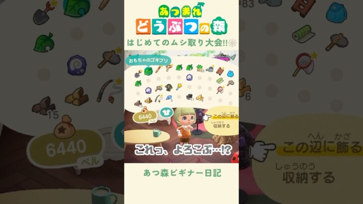 【あつ森】はじめてのムシとり大会！🐞#あつまれどうぶつの森