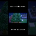 【あつ森】日課に潜むアイーダ様