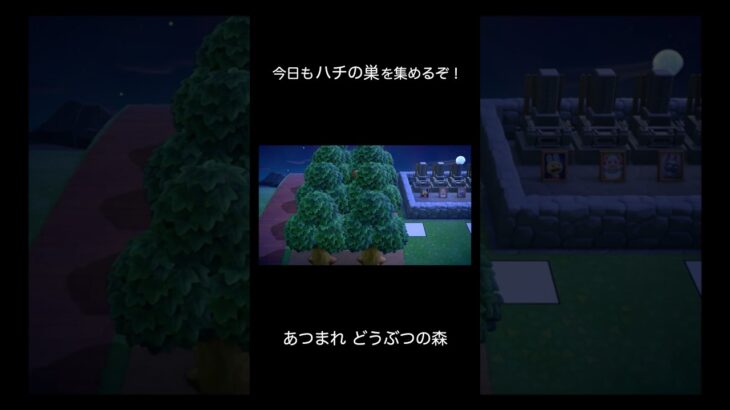 【あつ森】日課に潜むアイーダ様