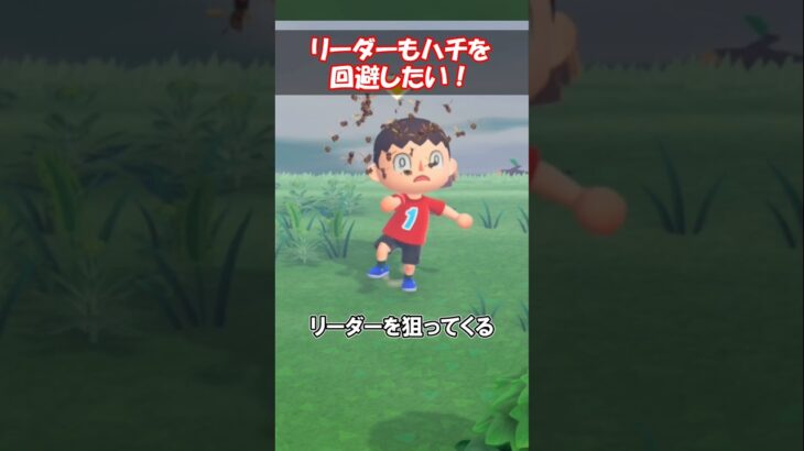 リーダーもハチを回避したい！ 【あつ森】@ほのげ