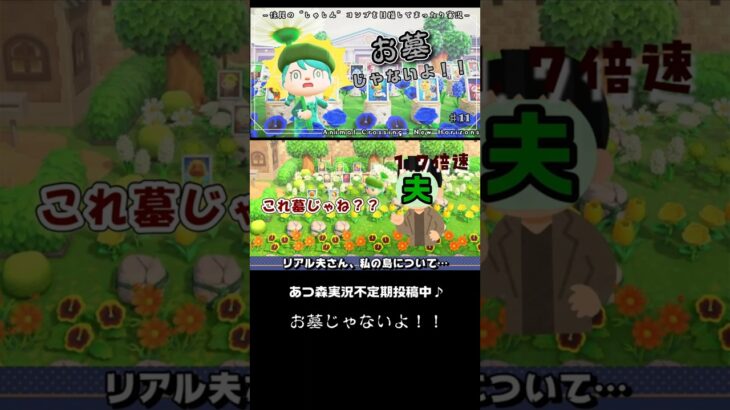 【あつ森実況】お墓じゃないよ！！【切り抜き】