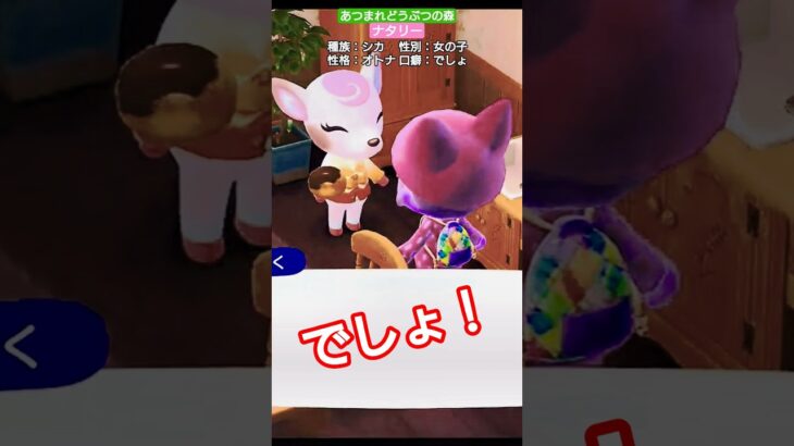 【#あつ森 】ナタリー【#あつまれどうぶつの森 】