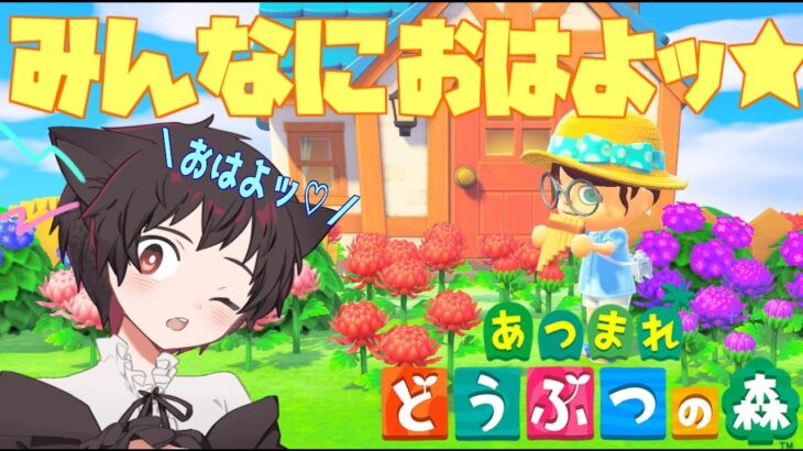 【あつ森】高級スパみたいな家具って何があるかな？