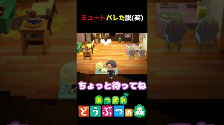 【あつ森】もしかしてミュート聞こえてました…?ｗｗｗ