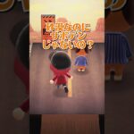【あつ森】落とし主はだーれだ！