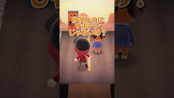 【あつ森】落とし主はだーれだ！