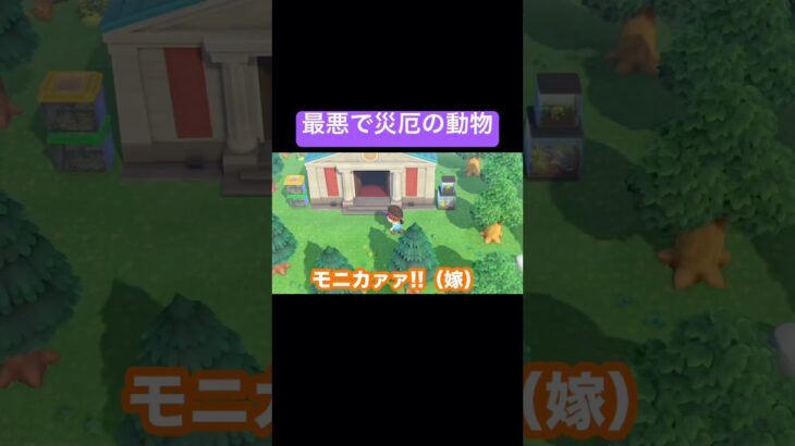 悪夢にはご注意を…【あつ森】