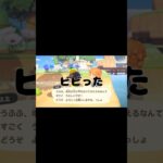 【あつ森】そう見えん？@user-lightnest #あつ森 #あつまれどうぶつの森