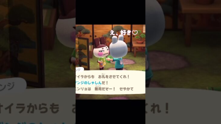 【あつ森】うさぎづくし@user-lightnest #あつ森 #あつまれどうぶつの森