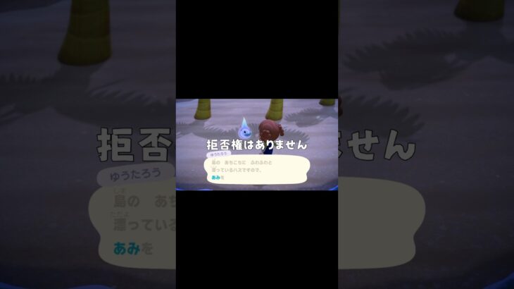 【あつ森】ゆうたろうと遊ぼう@user-lightnest #あつ森 #あつまれどうぶつの森