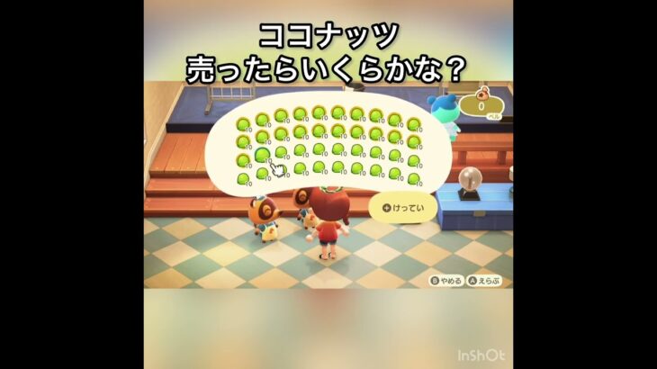 【あつ森】ココナッツ売ったらいくらかな？　#vlog #あつ森 #あつまれどうぶつの森 #こはくちゃんねる2424   #毎日更新　毎日更新中　 金を稼ぐ　