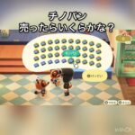 【あつ森】チノパン売ったらいくらかな？　#vlog #あつ森 #あつまれどうぶつの森 #こはくちゃんねる2424   #毎日更新　毎日更新中　 金を稼ぐ　