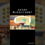 あつ森　エビスガイ売ったらいくらかな？　　#vlog #あつ森 #あつまれどうぶつの森 #こはくちゃんねる2424   #毎日更新　毎日更新中　 金を稼ぐ