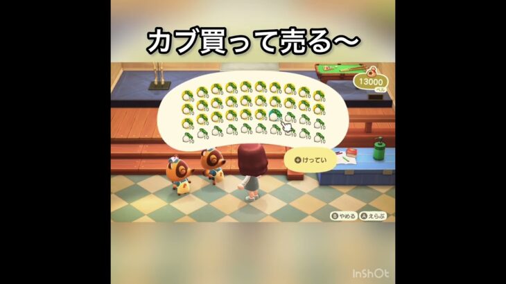 【あつ森　カブ売ったらいくらかな？　　#vlog #あつ森 #あつまれどうぶつの森 #こはくちゃんねる2424   #毎日更新　毎日更新中　 金を稼ぐ】