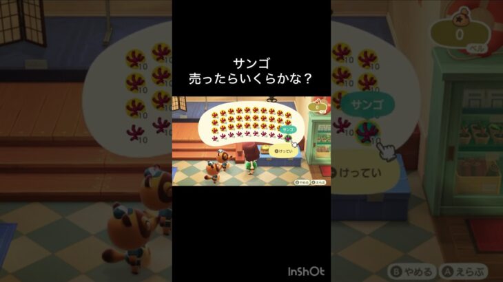 あつ森　サンゴ売ったらいくらかな？　　#vlog #あつ森 #あつまれどうぶつの森 #こはくちゃんねる2424   #毎日更新　毎日更新中　 金を稼ぐ