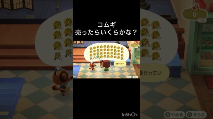 あつ森　コムギ売ったらいくらかな？　　#vlog #あつ森 #あつまれどうぶつの森 #こはくちゃんねる2424   #毎日更新　毎日更新中　 金を稼ぐ