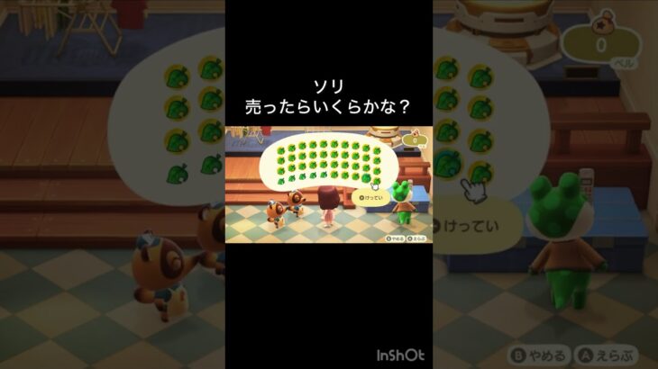 あつ森　ソリ売ったらいくらかな？　　#vlog #あつ森 #あつまれどうぶつの森 #こはくちゃんねる2424   #毎日更新　毎日更新中　 金を稼ぐ