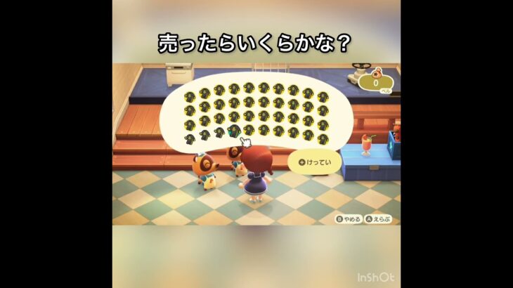 あつ森　マリンスーツ売ったらいくらかな？　　#vlog #あつ森 #あつまれどうぶつの森 #こはくちゃんねる2424   #毎日更新　毎日更新中　 金を稼ぐ