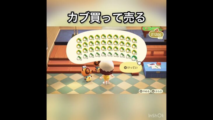 【あつ森　カブ売ったらいくらかな？　　#vlog #あつ森 #あつまれどうぶつの森 #こはくちゃんねる2424   #毎日更新　毎日更新中　 金を稼ぐ】