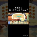 あつ森　カボチャ売ったらいくらかな？　　#vlog #あつ森 #あつまれどうぶつの森 #こはくちゃんねる2424   #毎日更新　毎日更新中　 金を稼ぐ