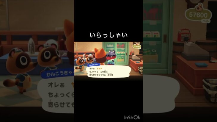 【あつ森　観光客来た。vlog #あつ森 #あつまれどうぶつの森 #こはくちゃんねる2424   #毎日更新　毎日更新中　 金を稼ぐ】