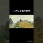 あつ森　モヤガカッテル島　#vlog #あつ森 #あつまれどうぶつの森 #こはくちゃんねる2424   #毎日更新　毎日更新中　