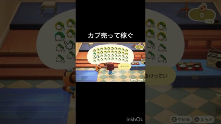 あつ森　　カブ売ったらいくらかな？　　#vlog #あつ森 #あつまれどうぶつの森 #こはくちゃんねる2424   #毎日更新　毎日更新中　 金を稼ぐ