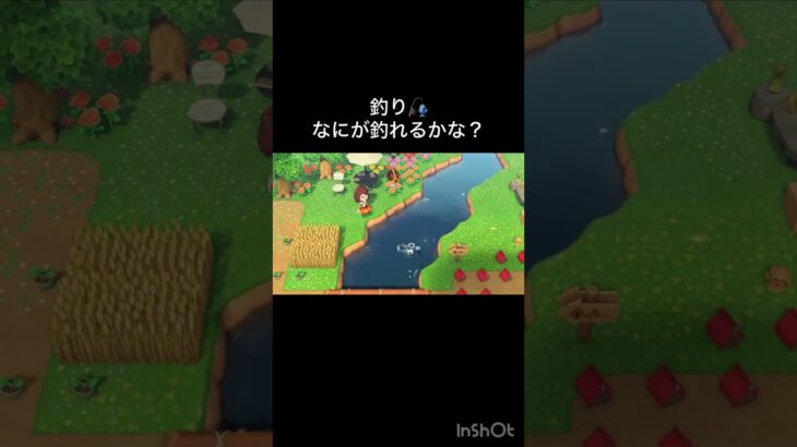 なにが釣れるかな？#vlog #あつ森 #あつまれどうぶつの森 #こはくちゃんねる2424   #毎日更新　毎日更新中　