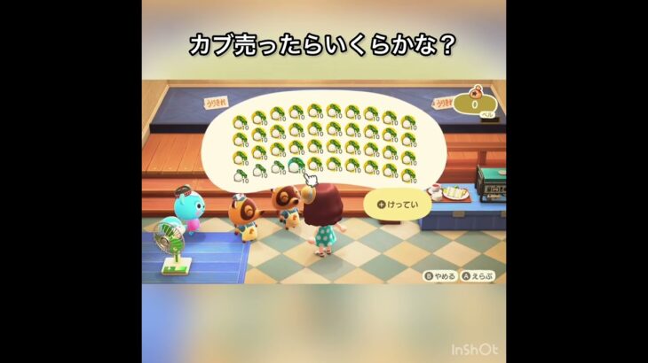 【あつ森　カブ売ったらいくらかな？　　#vlog #あつ森 #あつまれどうぶつの森 #こはくちゃんねる2424   #毎日更新　毎日更新中　 金を稼ぐ】