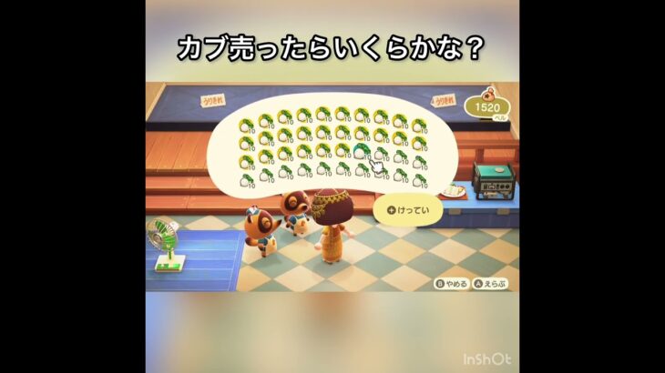 【あつ森　カブ売ったらいくらかな？　　#vlog #あつ森 #あつまれどうぶつの森 #こはくちゃんねる2424   #毎日更新　毎日更新中　 金を稼ぐ】