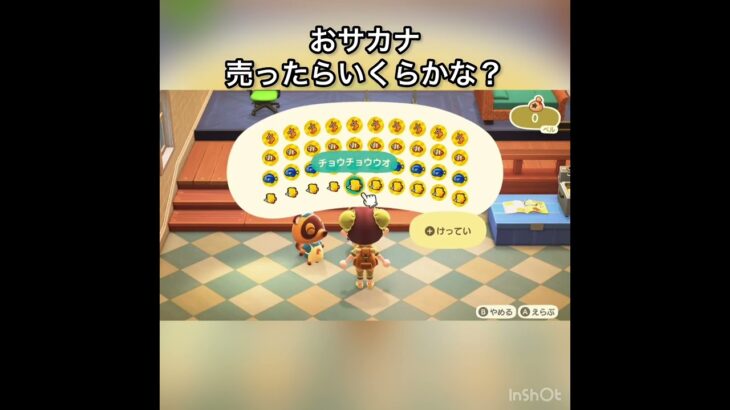 【あつ森】おサカナ売ったらいくらかな？　#vlog #あつ森 #あつまれどうぶつの森 #こはくちゃんねる2424   #毎日更新　毎日更新中　 金を稼ぐ