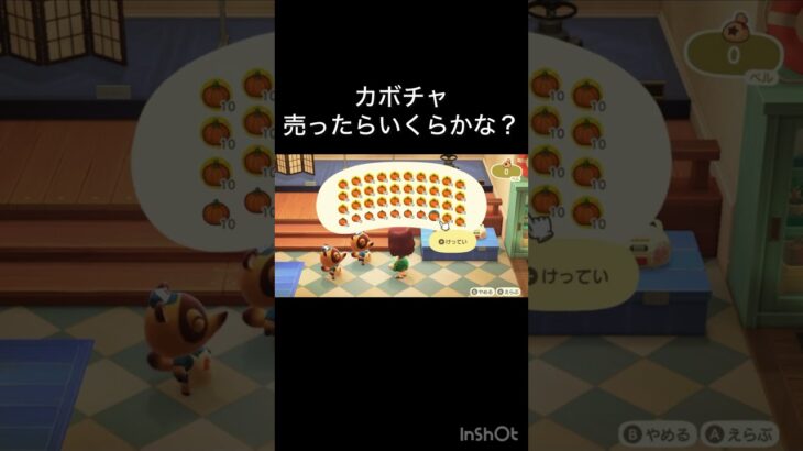 あつ森　カボチャ売ったらいくらかな？　　#vlog #あつ森 #あつまれどうぶつの森 #こはくちゃんねる2424   #毎日更新　毎日更新中　 金を稼ぐ