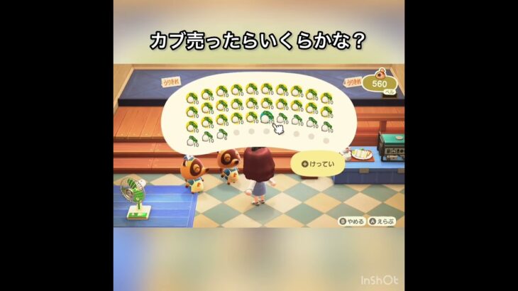 【あつ森　カブ売ったらいくらかな？　　#vlog #あつ森 #あつまれどうぶつの森 #こはくちゃんねる2424   #毎日更新　毎日更新中　 金を稼ぐ】