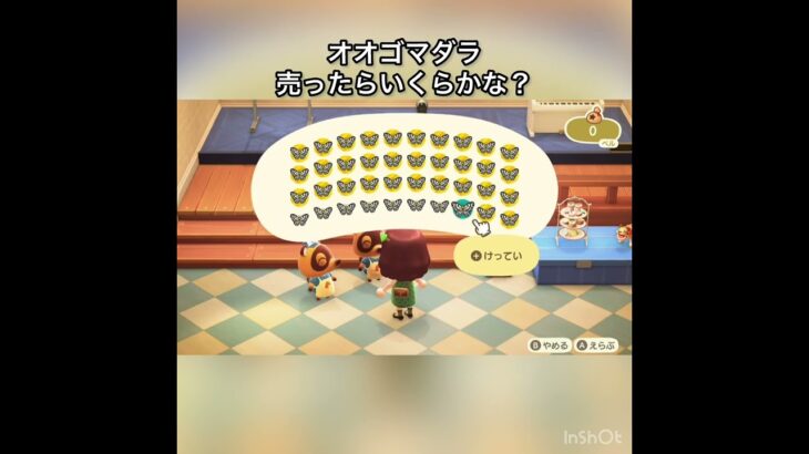 オオカバマダラ売ったらいくらかな？　#vlog vlog #あつ森 #あつまれどうぶつの森 #こはくちゃんねる2424   #毎日更新　毎日更新中　 金を稼ぐ