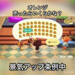 オレンジ売ったらいくらかな？　#vlog vlog #あつ森 #あつまれどうぶつの森 #こはくちゃんねる2424   #毎日更新　毎日更新中　 金を稼ぐ