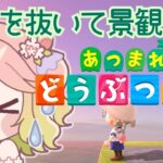 【あつ森】雑草が増えている島、景観を整えよう【#vtuber 】