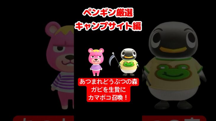 【あつ森】ペンギン厳選キャンプサイト編 #vtuber  #ゲーム実況