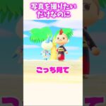 マールと写真を撮りたいだけなのにw #あつ森