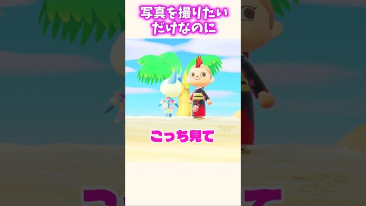 マールと写真を撮りたいだけなのにw #あつ森