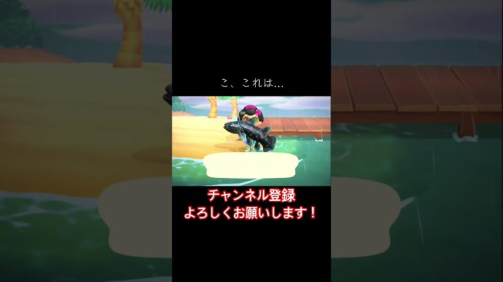 【あつ森】低確率！？意外とすぐ来てしまったw#あつまれどうぶつの森 #あつ森 #どうぶつの森 #実況プレイ