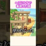 同じ事した人いそうな事故w #あつ森