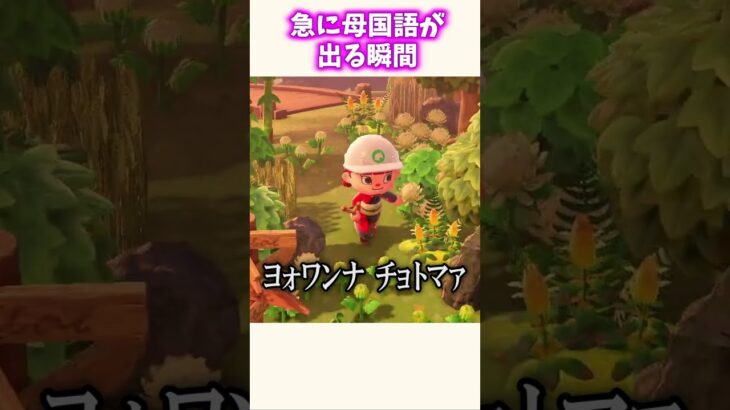 急に異国語で喋る配信者ww #あつ森
