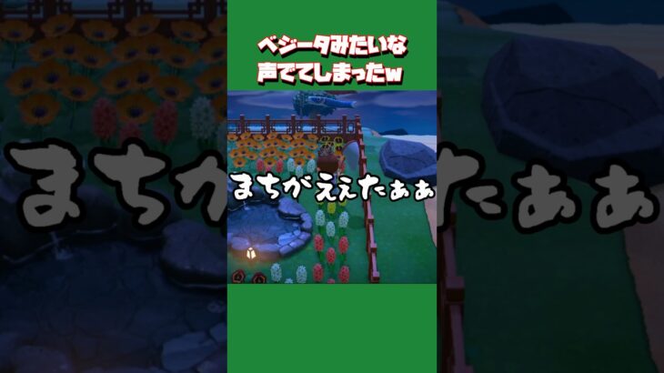 【あつ森ショート】虫取り失敗したらしゅまの中のベジータ降臨してしまったww #あつ森 #あつまれどうぶつの森 #animalclossing #ゲーム配信 #しゅまのゲーム帳