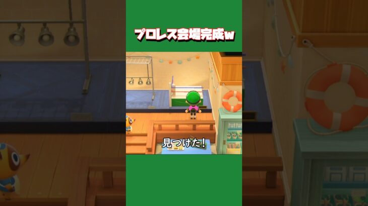 【あつ森ショート】ようやくうちの島のプロレス会場が完成しました🥊ww #あつ森 #あつまれどうぶつの森 #animalclossing #ライブ配信 #しゅまのゲーム帳